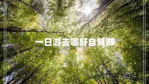一日游去哪好自駕游