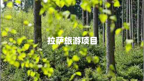 拉薩旅游項目