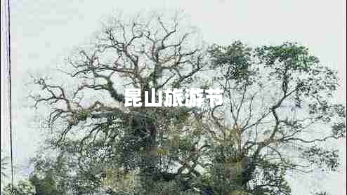 昆山旅游節