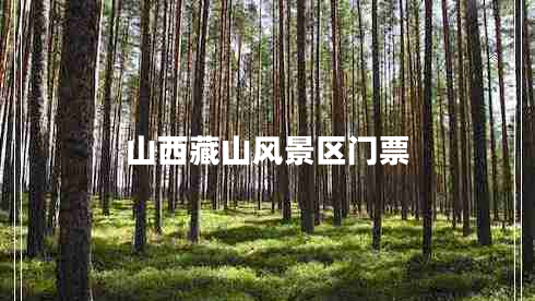 山西藏山風(fēng)景區門(mén)票
