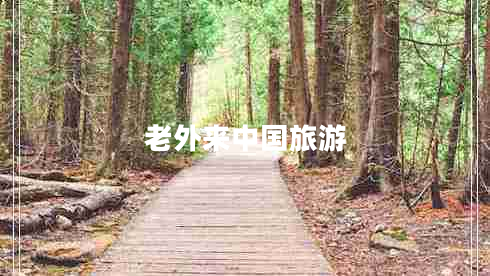 老外來(lái)中國旅游