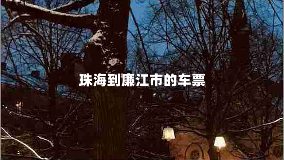 珠海到廉江市的車(chē)票
