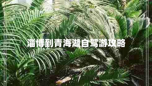 淄博到青海湖自駕游攻略