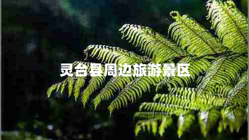 靈臺縣周邊旅游景區