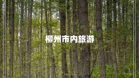 柳州市內旅游