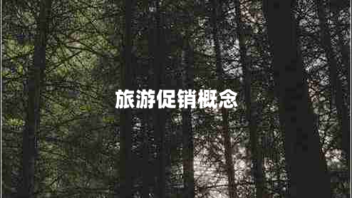 旅游促銷(xiāo)概念