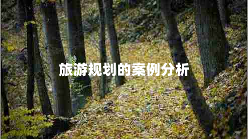 旅游規劃的案例分析