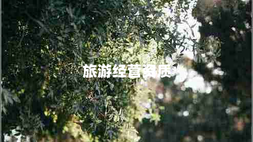旅游經(jīng)營(yíng)資質(zhì)