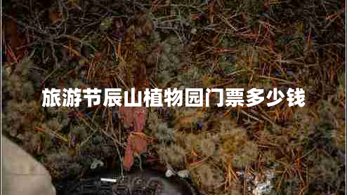 旅游節辰山植物園門(mén)票多少錢(qián)