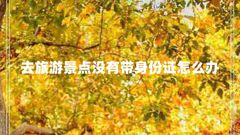 去旅游景點(diǎn)沒(méi)有帶身份證怎么辦