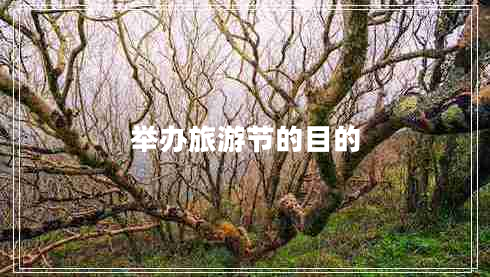 舉辦旅游節的目的