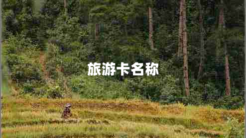 旅游卡名稱(chēng)