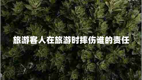 旅游客人在旅游時(shí)摔傷誰(shuí)的責任