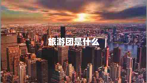 旅游團是什么