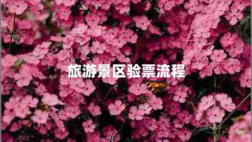 旅游景區驗票流程