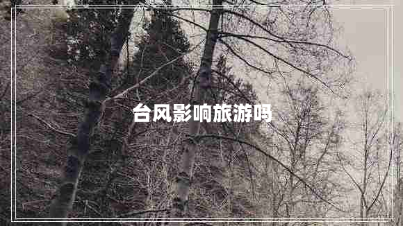 臺風(fēng)影響旅游嗎