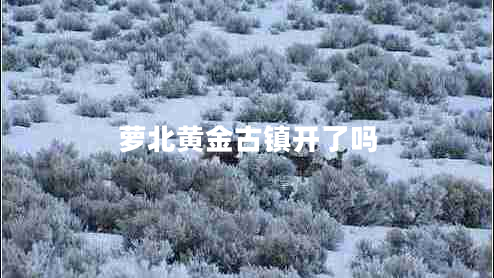 蘿北黃金古鎮開(kāi)了嗎