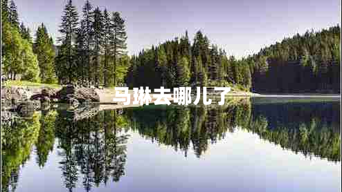 馬琳去哪兒了