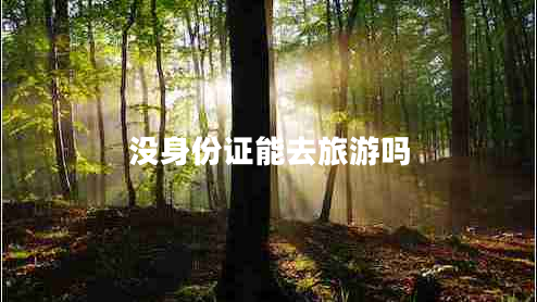 沒(méi)身份證能去旅游嗎