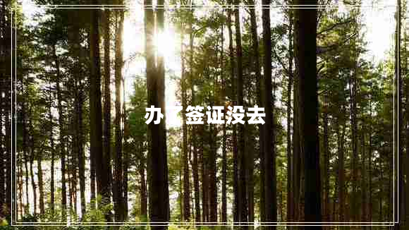 辦了簽證沒(méi)去