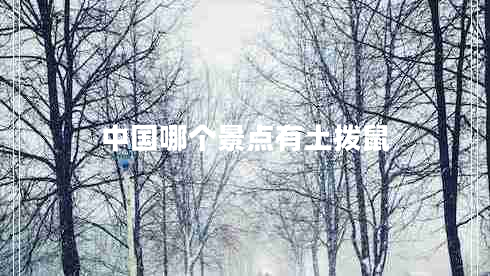 中國哪個(gè)景點(diǎn)有土撥鼠