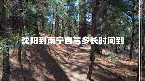 沈陽(yáng)到南寧自駕多長(cháng)時(shí)間到