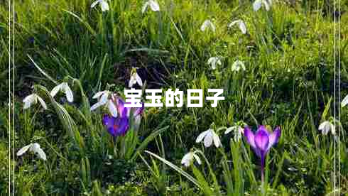 寶玉的日子