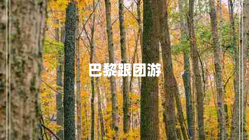 巴黎跟團游