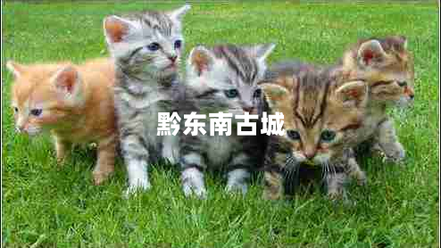 黔東南古城