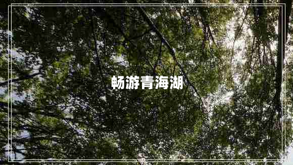 暢游青海湖