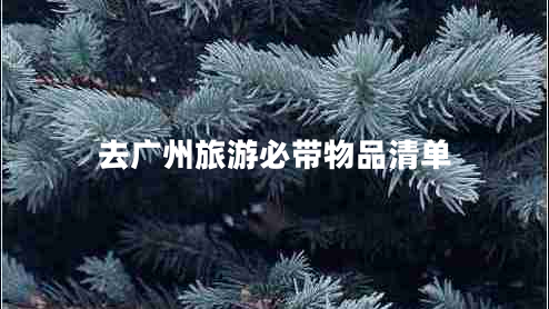 去廣州旅游必帶物品清單