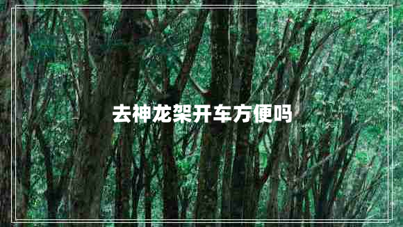 去神龍架開(kāi)車(chē)方便嗎