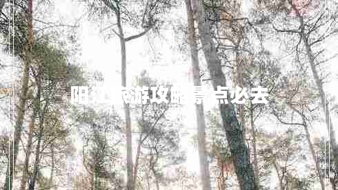 陽(yáng)江旅游攻略景點(diǎn)必去