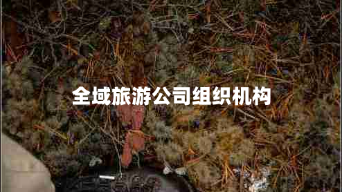 全域旅游公司組織機構