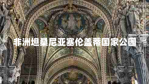 非洲坦桑尼亞塞倫蓋蒂?lài)夜珗@