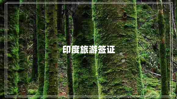 印度旅游簽證