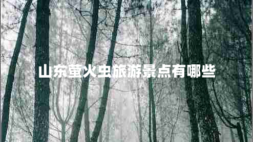 山東螢火蟲(chóng)旅游景點(diǎn)有哪些