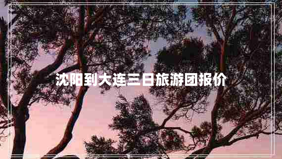 沈陽(yáng)到大連三日旅游團報價(jià)