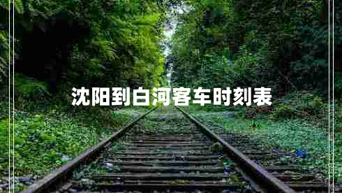 沈陽(yáng)到白河客車(chē)時(shí)刻表