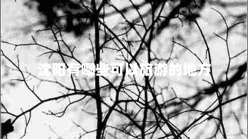 沈陽(yáng)有哪些可以旅游的地方