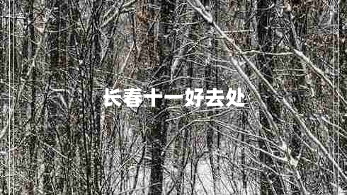 長(cháng)春十一好去處