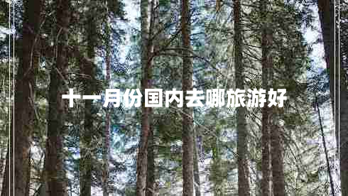 十一月份國內去哪旅游好