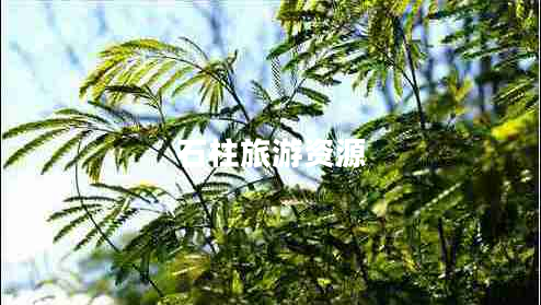 石柱旅游資源