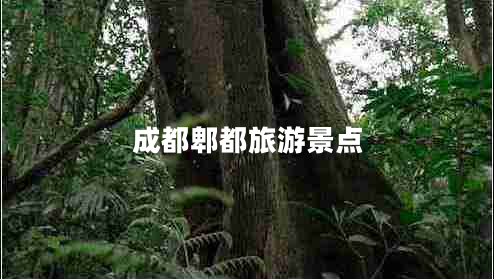 成都郫都旅游景點(diǎn)