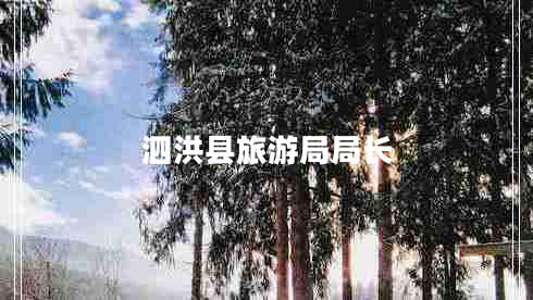 泗洪縣旅游局局長(cháng)