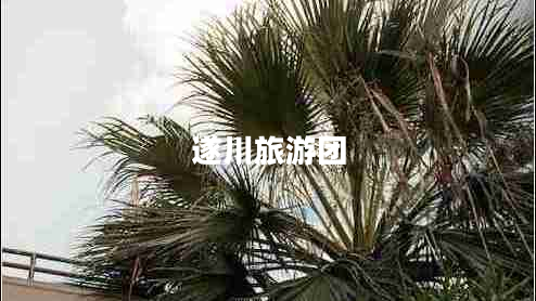 遂川旅游團