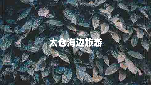 太倉海邊旅游