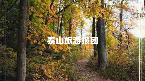 泰山旅游報團