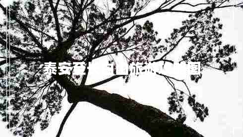泰安至長(cháng)白山旅游攻略圖