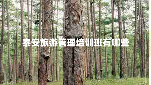 泰安旅游管理培訓班有哪些